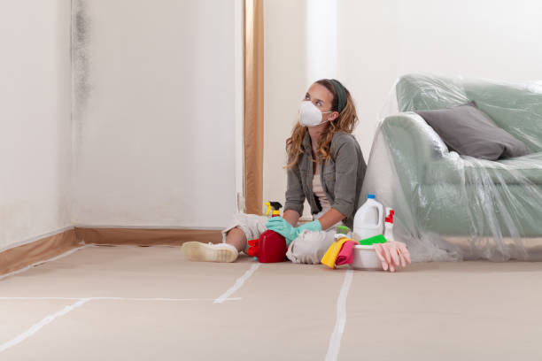 Reliable Mold Inspection And Testing contractor in Caldwell, TX by Car Mold Remediation